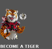 Become a Tiger