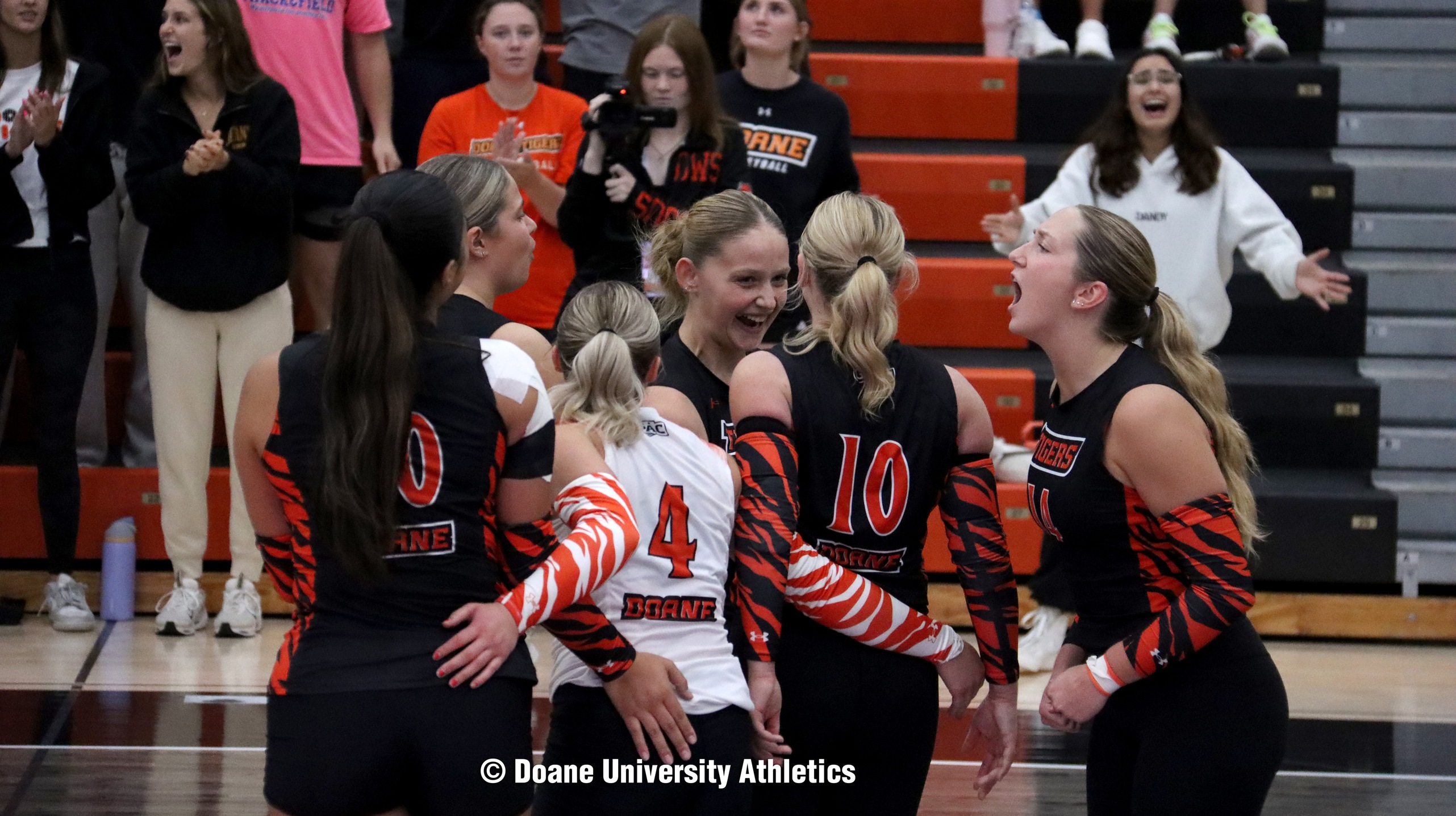 Volleyball 2025